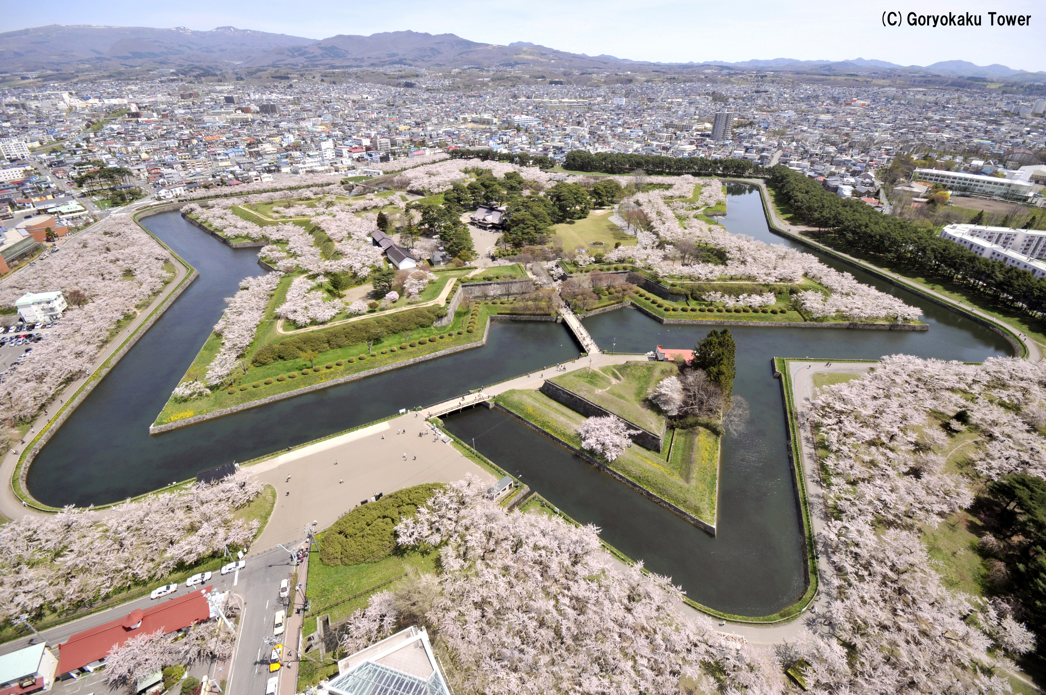 文化とビジネスの交流地