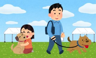 トップ画像 ページトップの画像です