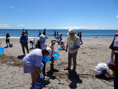 ビーチコーミング写真