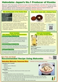 flyer_p4.jpg