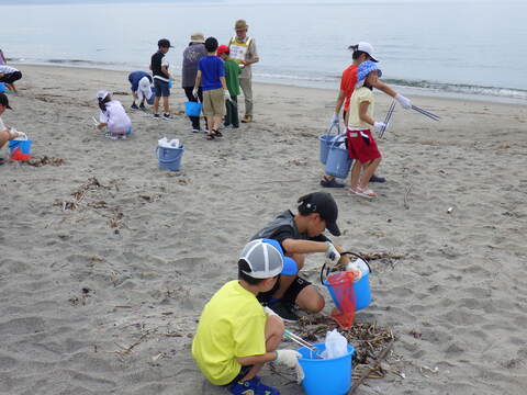 ビーチコーミングの写真２