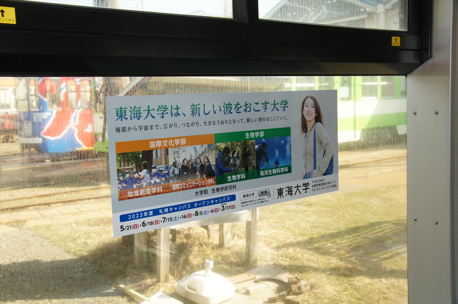 窓ステッカー