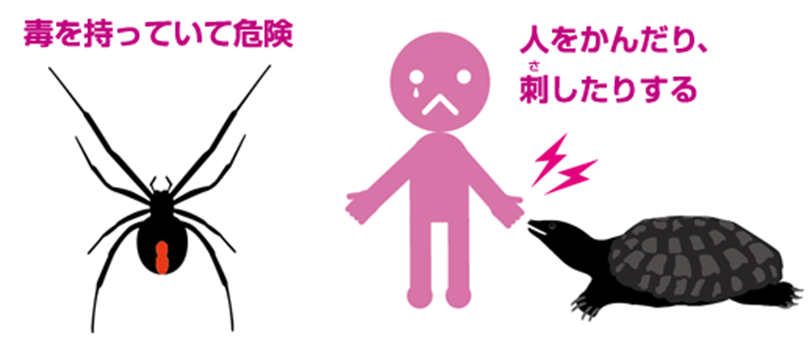 外来種による健康への影響イメージ