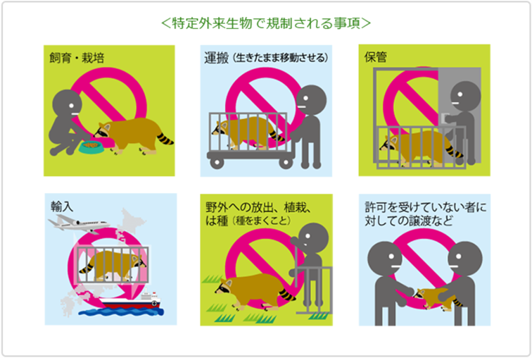 特定外来生物で規制される事項についての説明画像