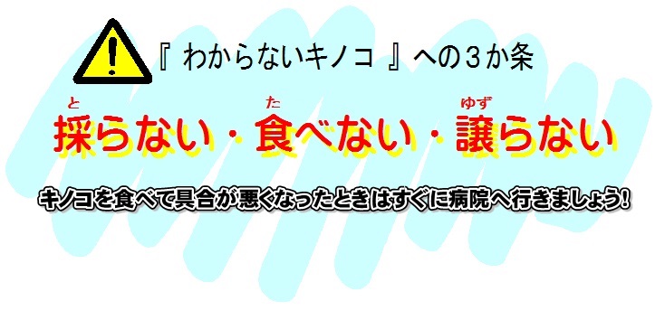 キノコ注意 キノコ注意